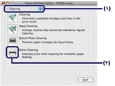 الشكل: مربع الحوار Canon IJ Printer Utility