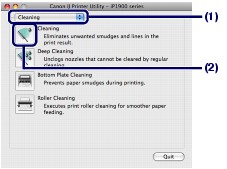 gambar:Kotak dialog Canon IJ Printer Utility