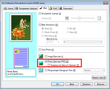 gambar:Kotak centang Photo Optimizer PRO pada tab Efek