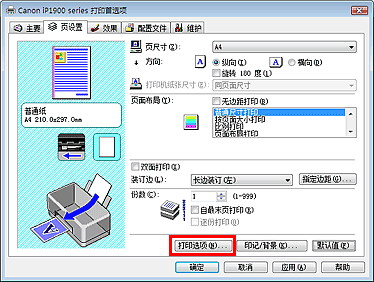 插图：“页设置”选项卡上的“打印选项...”