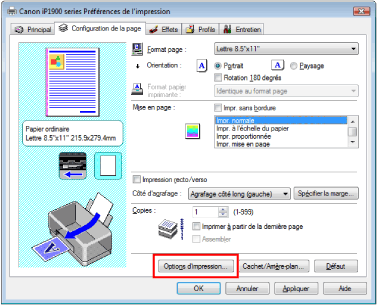 figure : Options d'impression dans l'onglet Configuration de la page