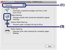 gambar:Kotak dialog Canon IJ Printer Utility