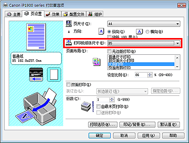 插图：“页设置”选项卡上的“打印机纸张尺寸”